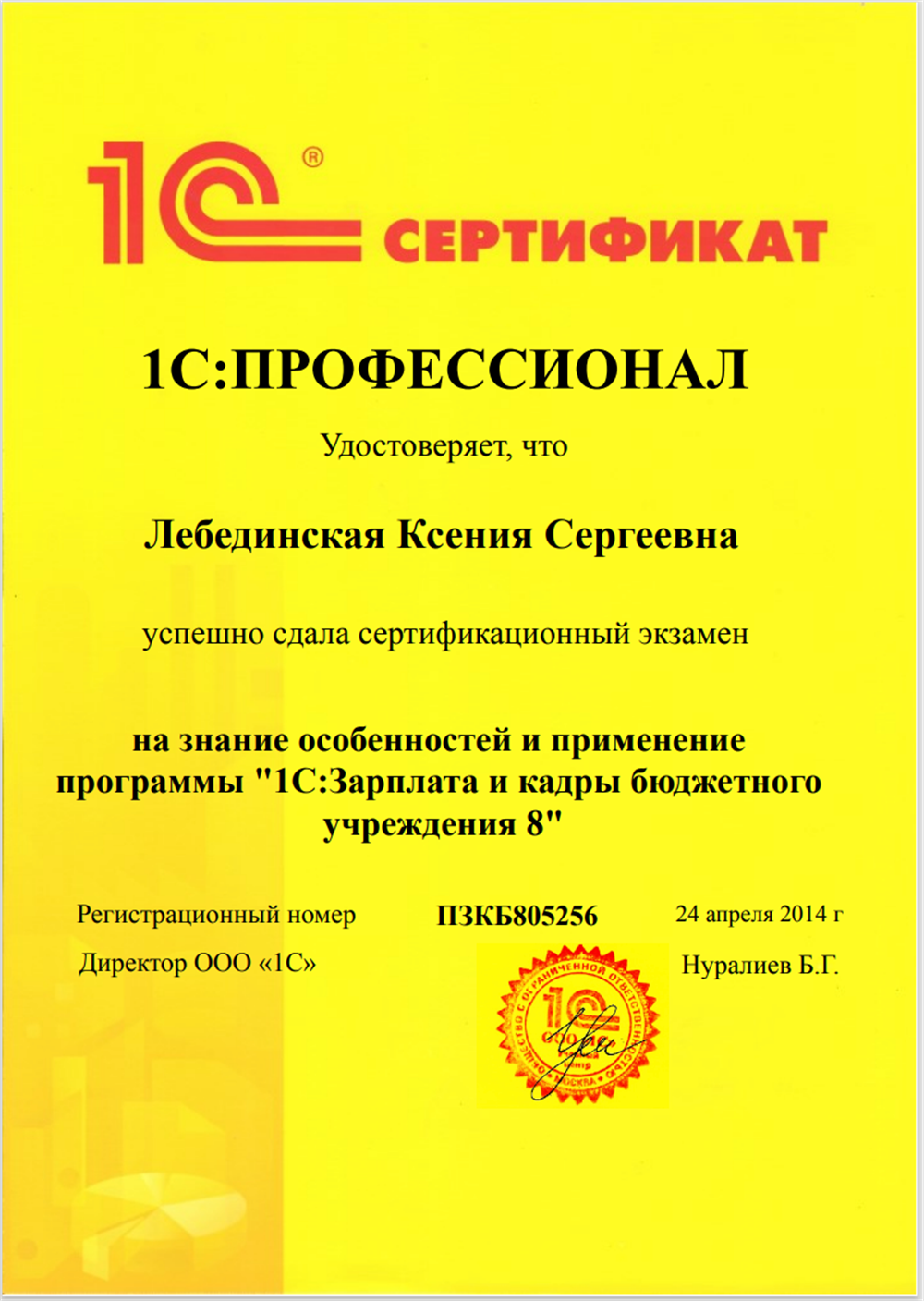 1С:Профессионал ЗиКБУ