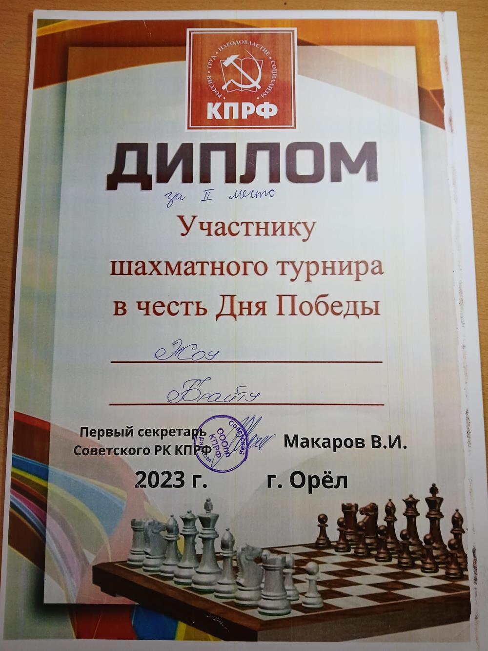 Шахматы