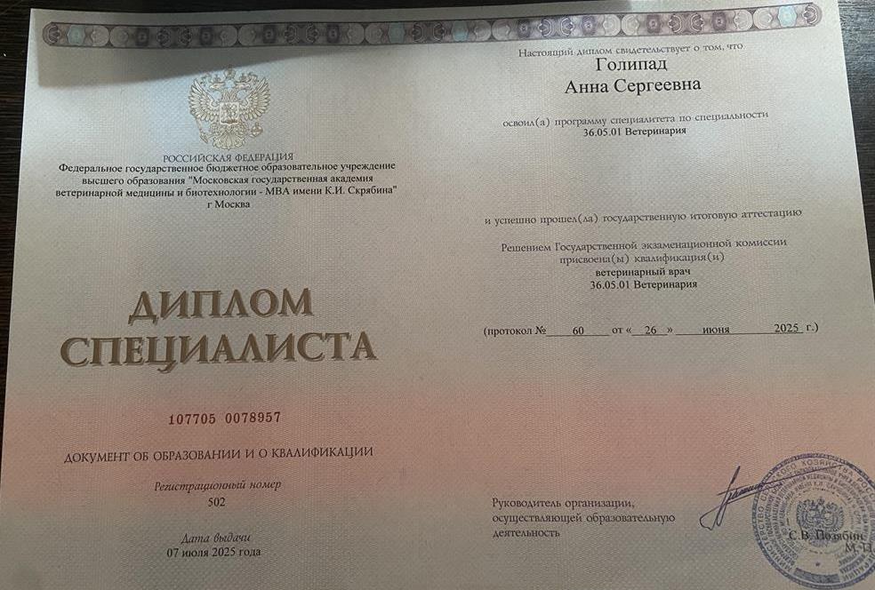 Диплом 