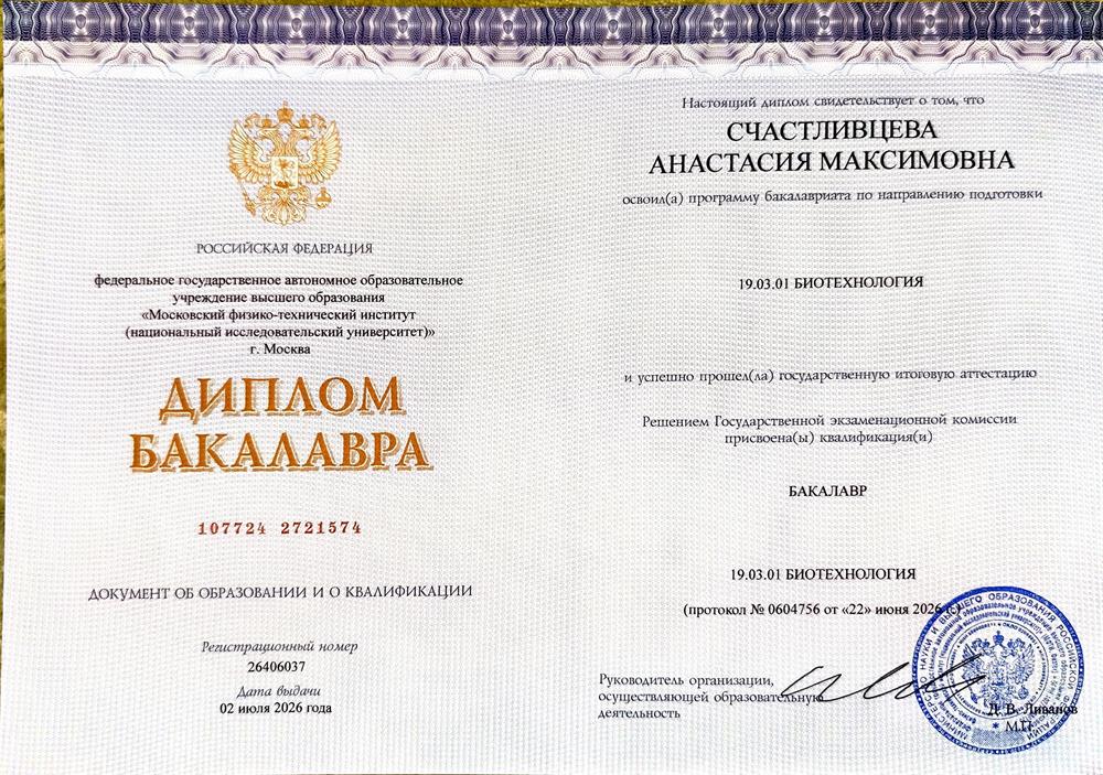 Диплом бакалавра 