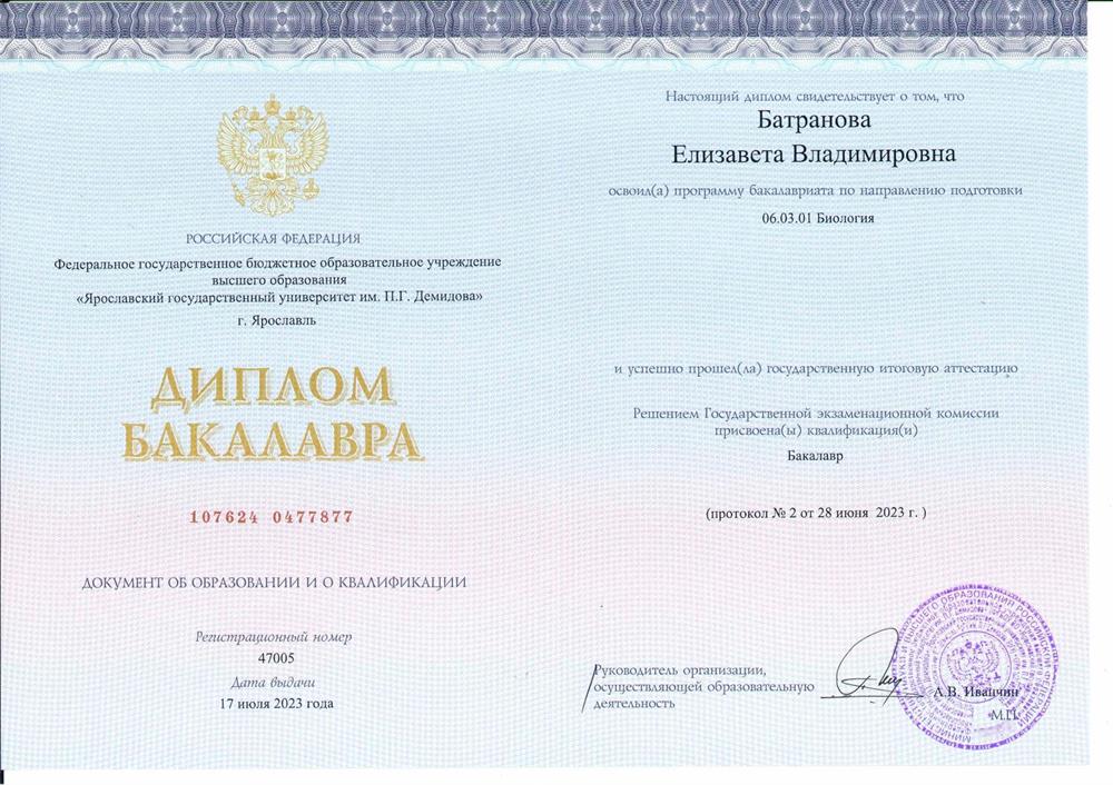 Диплом о высшем образовании (бакалавр)