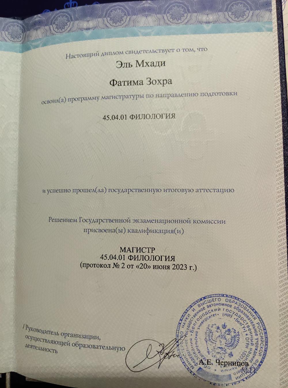 Диплом магистратура (филология)