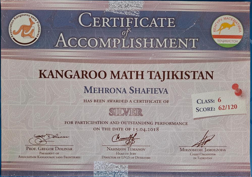 Серебряная медаль по математике – Kangaroo Math