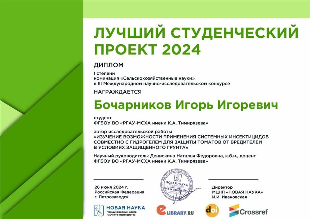 Доп Диплом, показывающий инд. достижения
