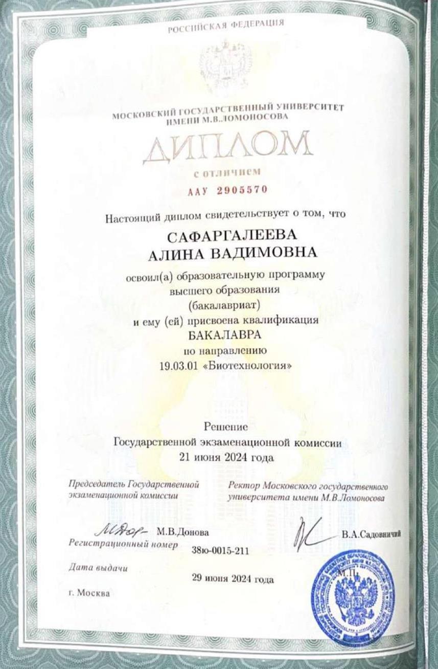 Диплом бакалавра 