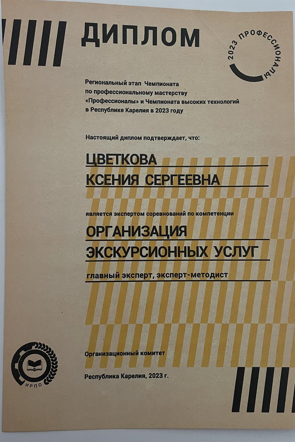 Диплом главного эксперта Регионального этапа Чемпионата по профессиональному мастерству «Профессионалы» и Чемпионата высоких технологий в Республике Карелия в 2023 году