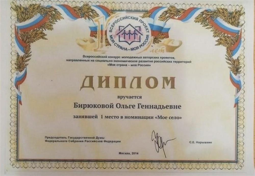 Диплом I степени и золотая медаль на Всероссийском конкурсе молодёжных авторских проектов «Моя страна – моя Россия», Диплом лауреата премии  Президента РФ по поддержке талантливой молодёжи