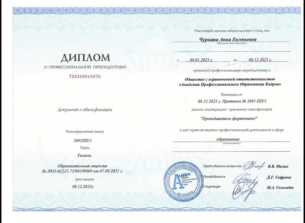 диплом дополнительного образования 