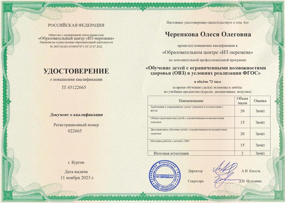 Работа с детьми ОВЗ