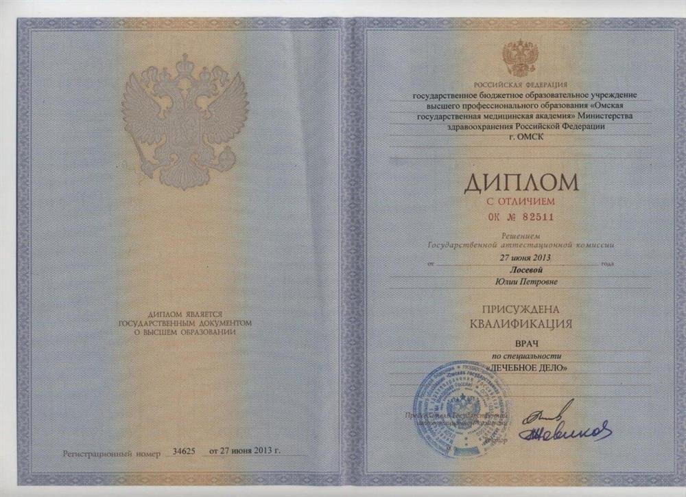 Диплом 2013