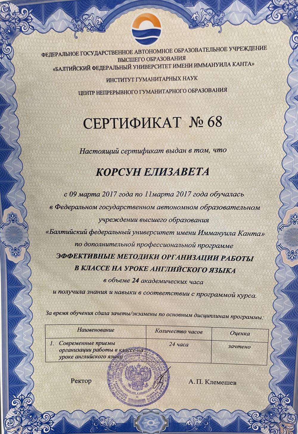 Сертификат. Эффективные методики организации урока