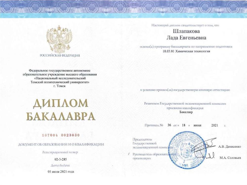 Диплом бакалавра Химической технологии