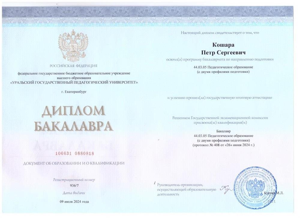 Диплом бакалавра