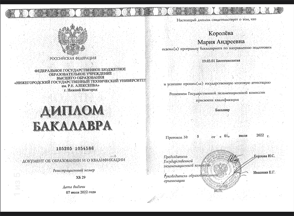 Диплом бакалавра