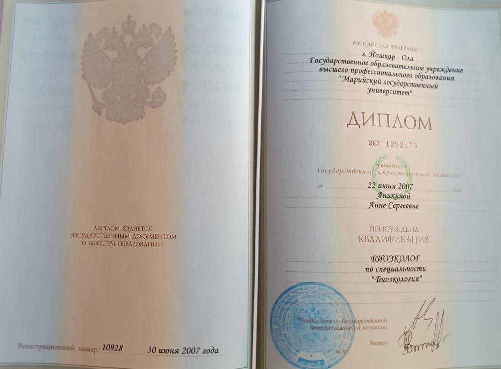 Диплом о высшем образовании 