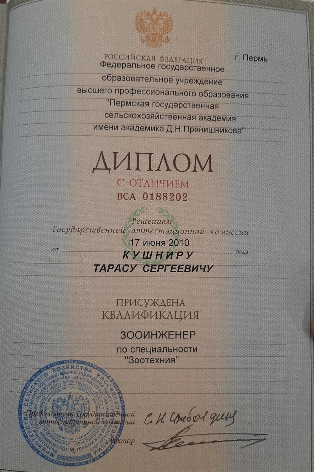 Диплом с отличием
