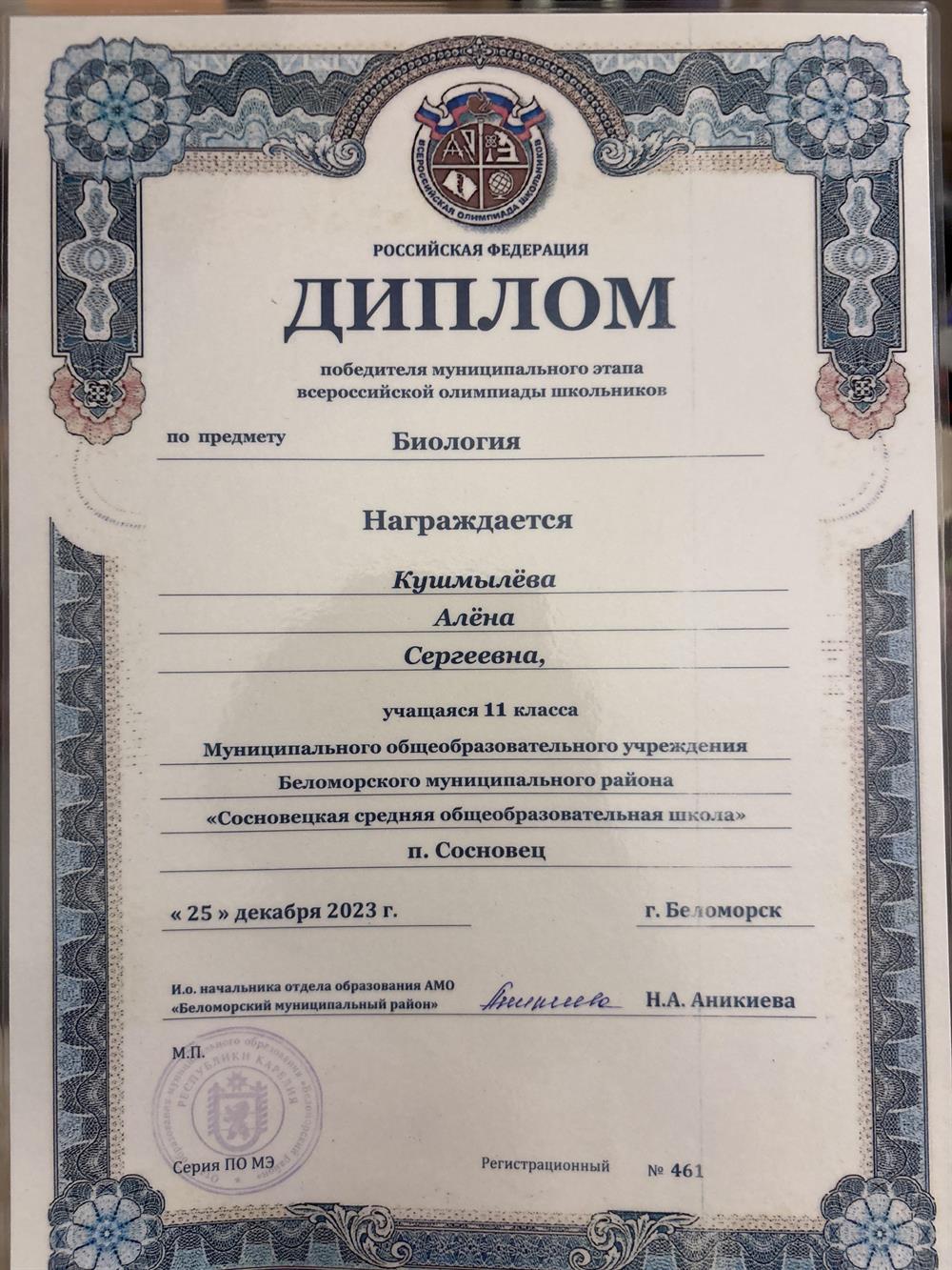 Диплом победителя  школьной олимпиады 