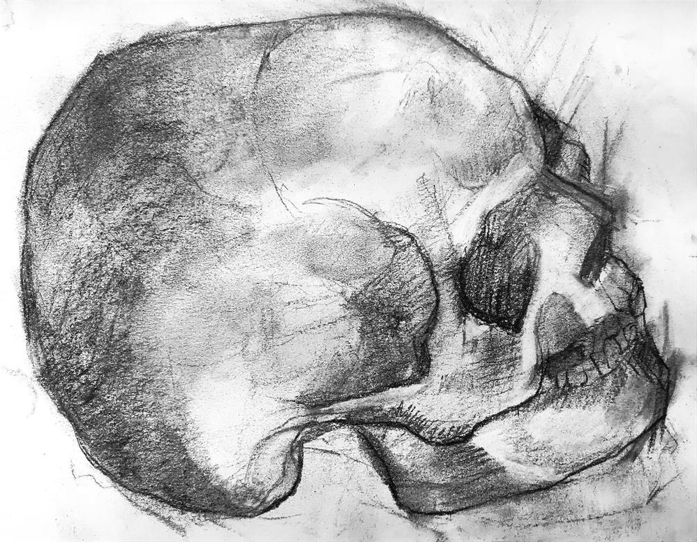 Рисунок. Череп