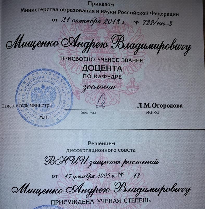 диплом кандидат наук