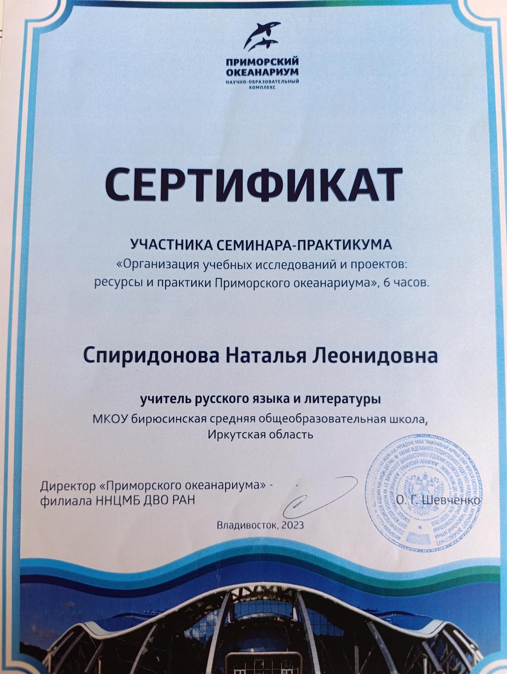 Сертификат участника семинара-практикума. Владивосток 2023