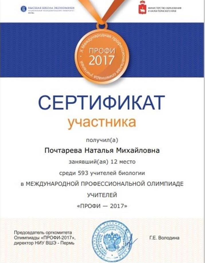 Сертификат участника Международной олимпиады "Профи-2017"