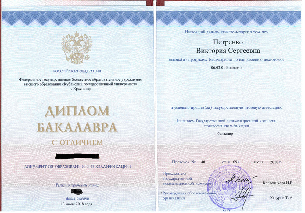Диплом бакалавра с отличием