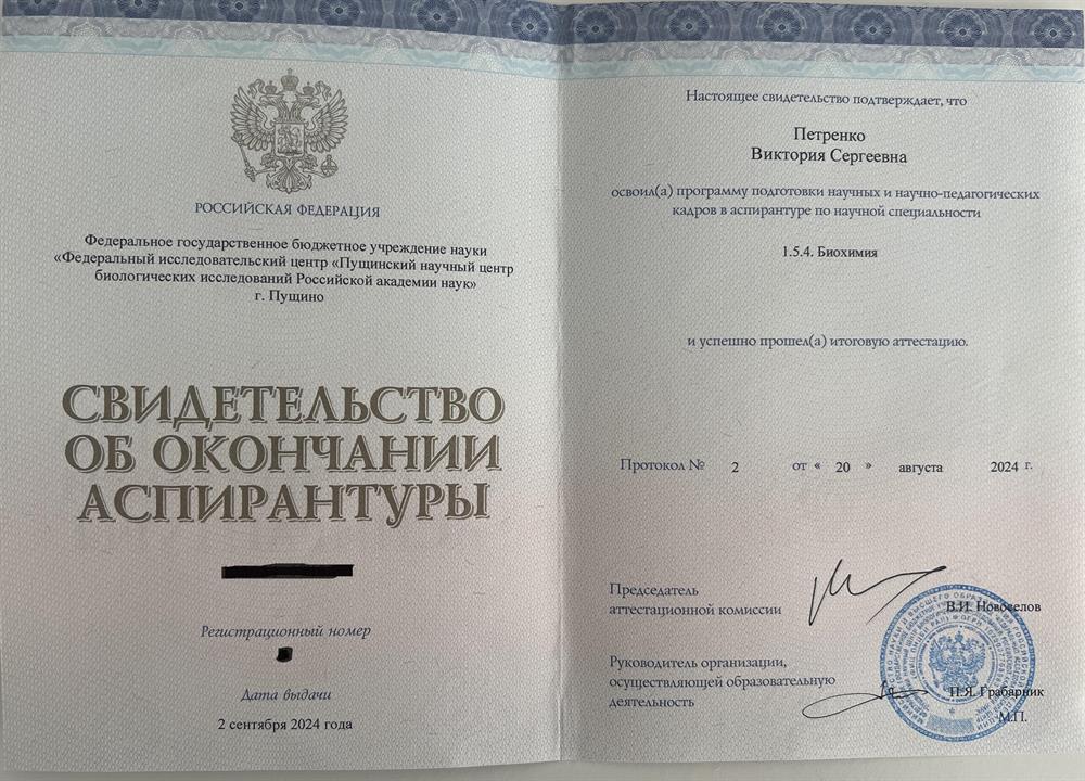 Свидетельство об окончании аспирантуры