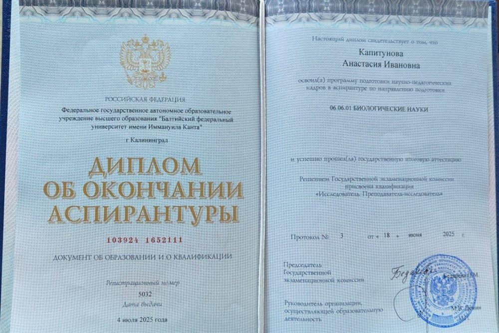 Диплом об окончании аспирантуры
