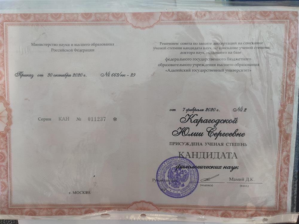 Диплом