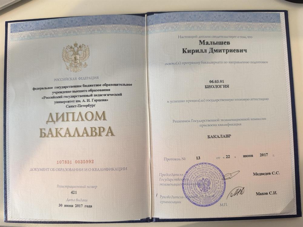 Диплом бакалавра