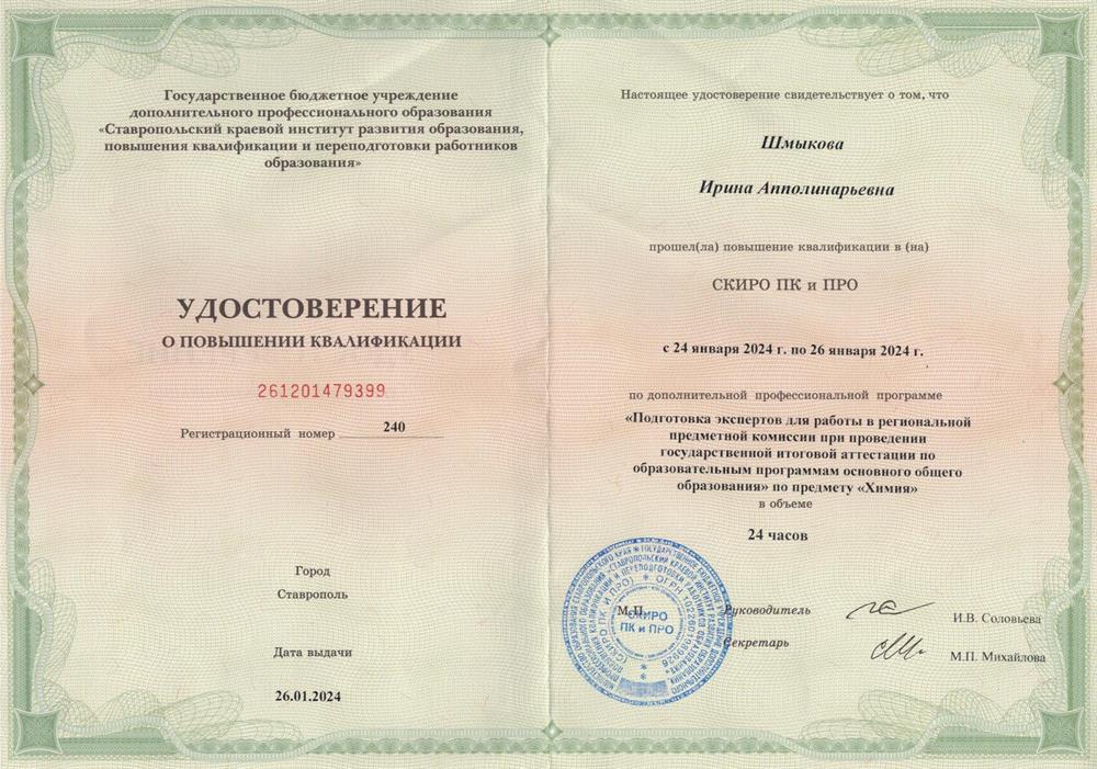Удостоверение эксперта, 2024