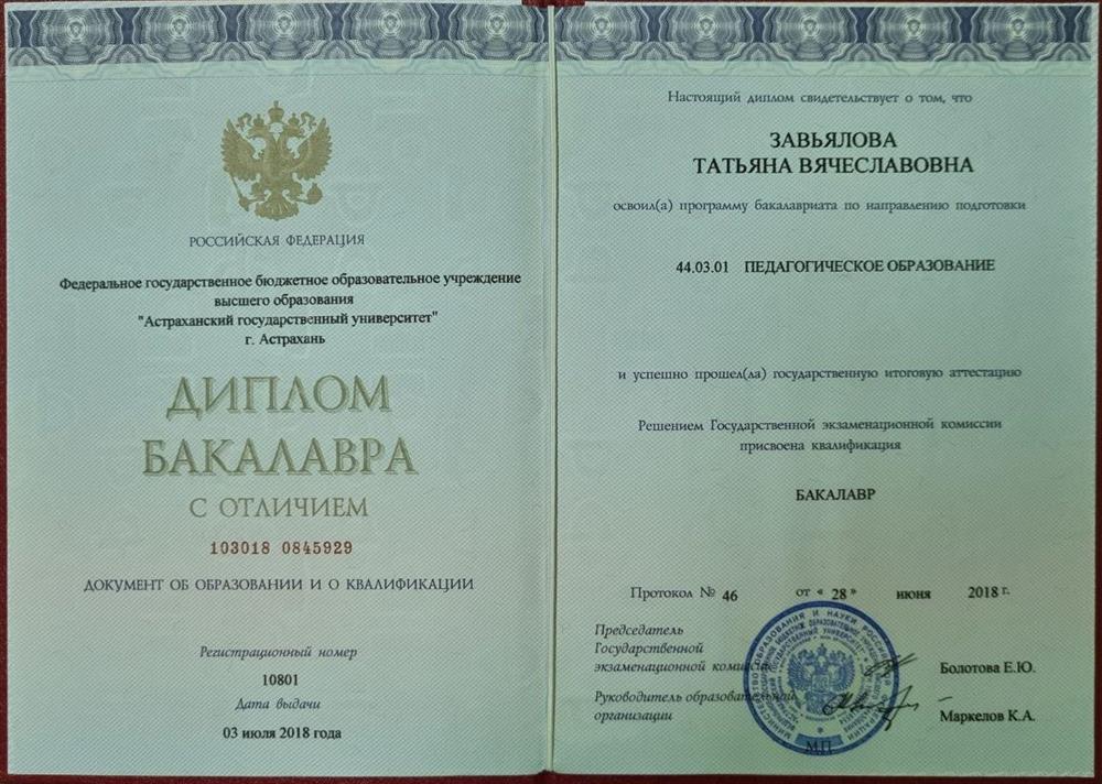 Диплом бакалавра, Педагогическое образование, История