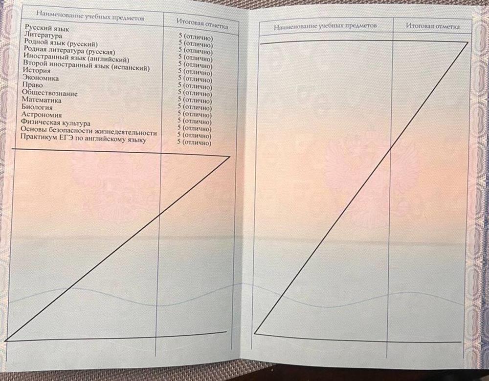 Красный аттестат об окончании школы ГБОУ №1208 с углубленным изучением английского языка.