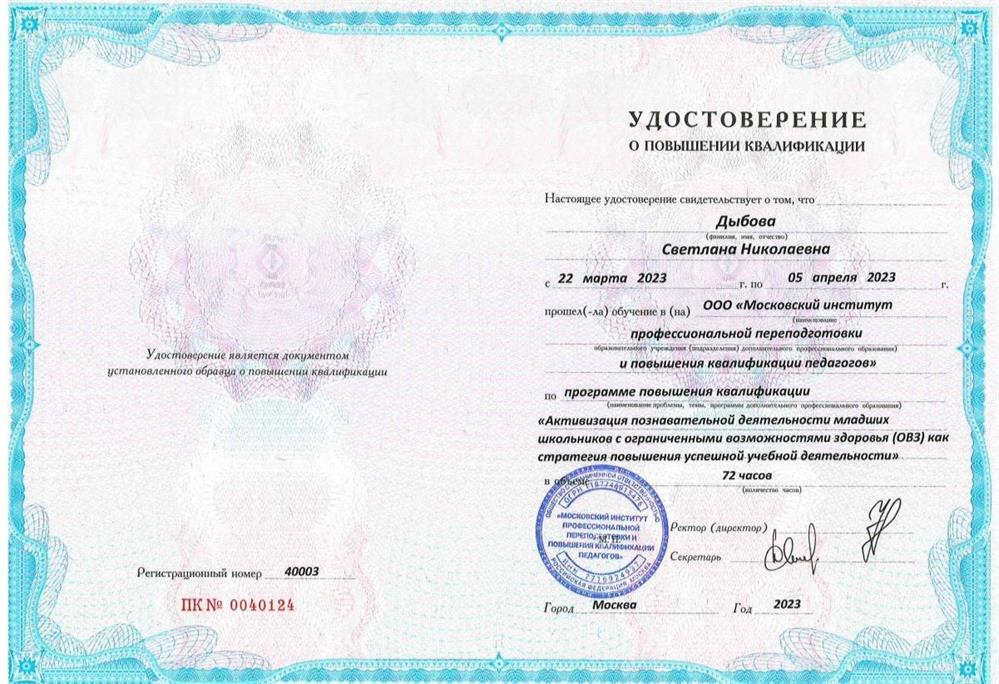 Повышение квалификации по работе с детьми с ОВЗ.
