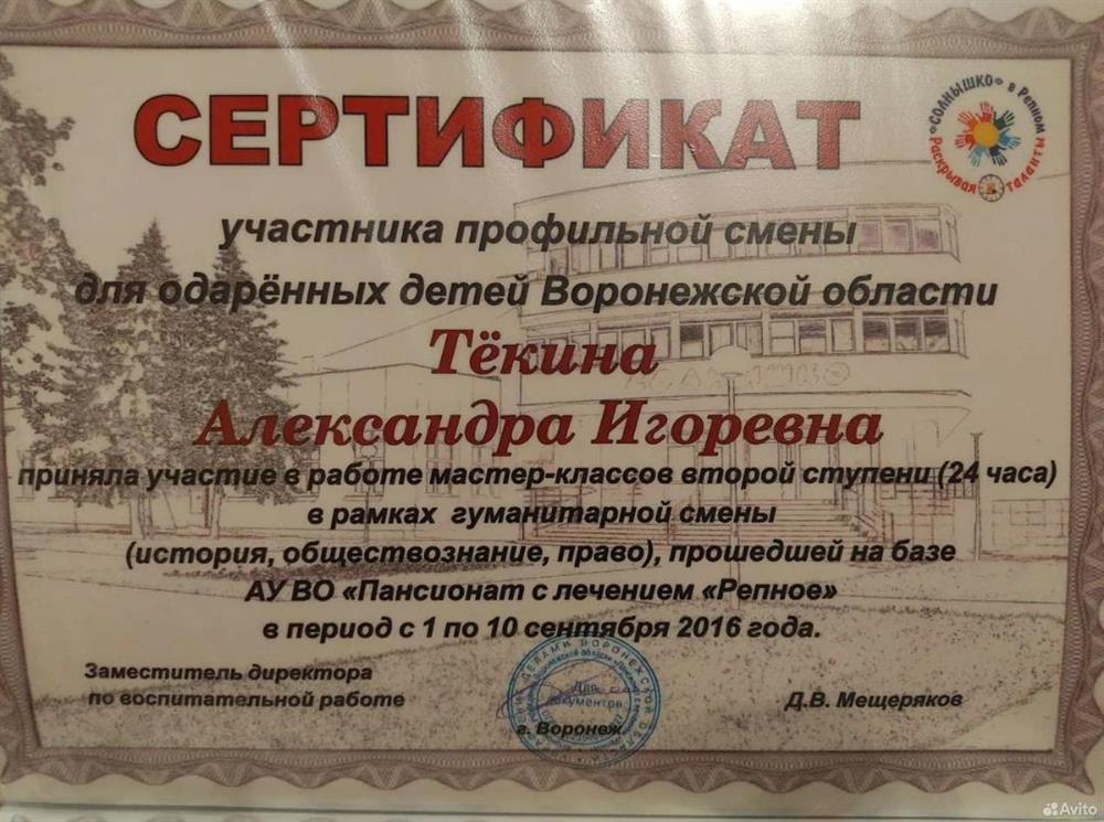 Сертификат об участии в профильной смене в пансионате "Солнышко"