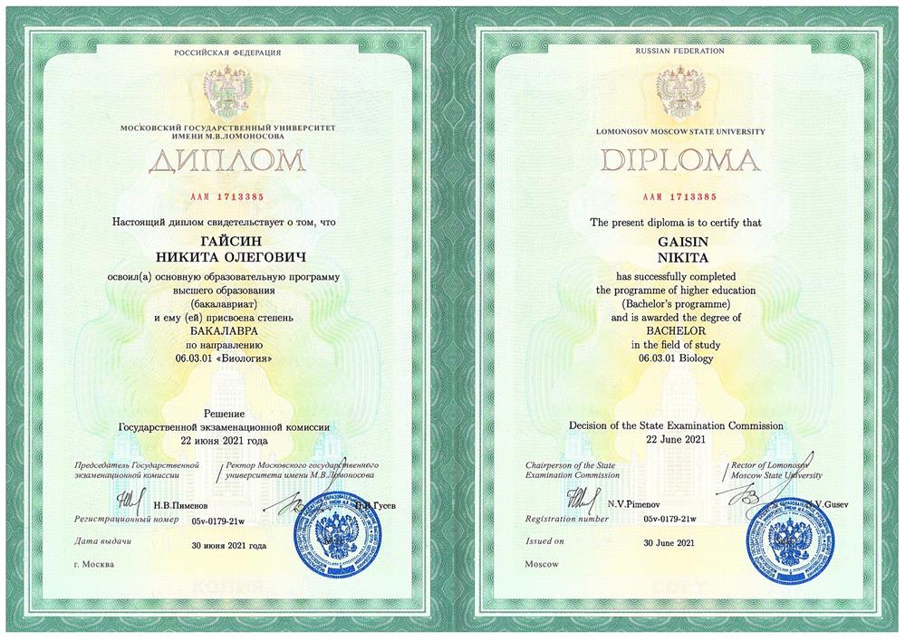 Диплом бакалавра
