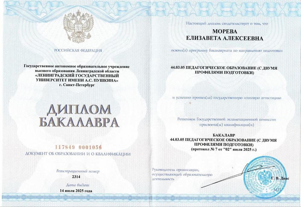 Диплом бакалавра