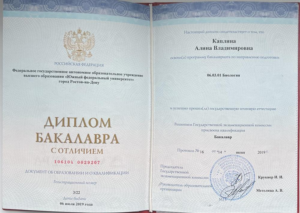 Диплом бакалавра с отличием