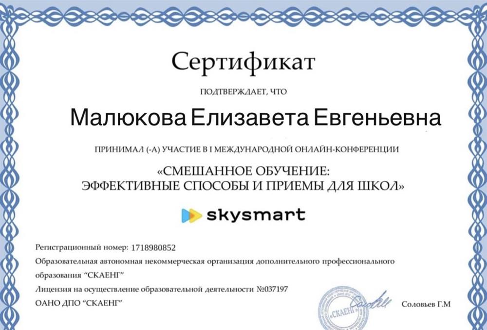 Сертификат. Образовательная автономная некоммерческая организация дополнительного профессионального образования "СКАЕНГ"«СМЕШАННОЕ ОБУЧЕНИЕ:ЭФФЕКТИВНЫЕ СПОСОБЫ И ПРИЕМЫ ДЛЯ ШКОЛ» 2024