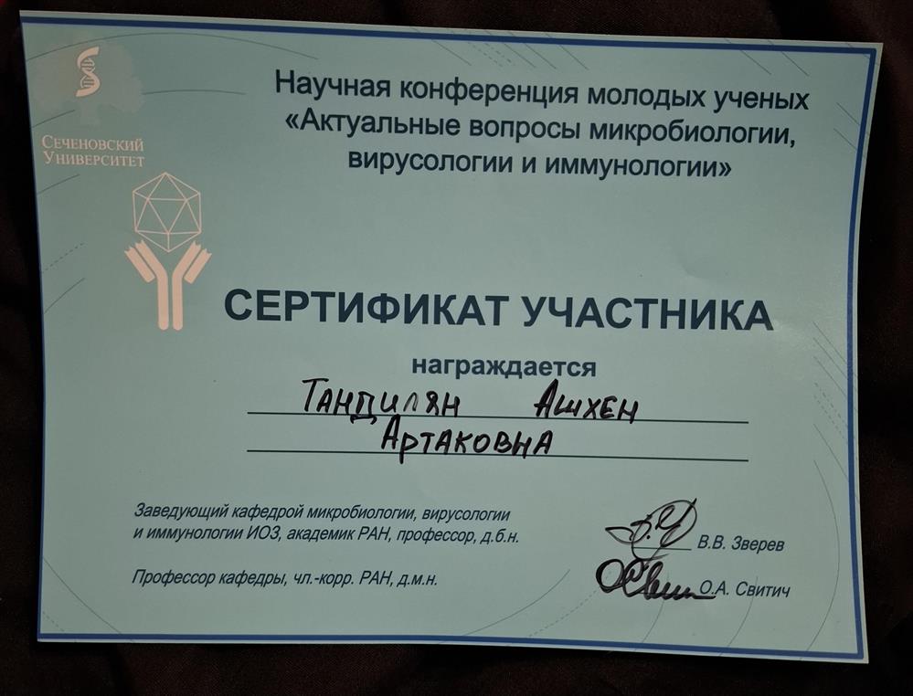 Сертификат Научная конференция молодых учёных 