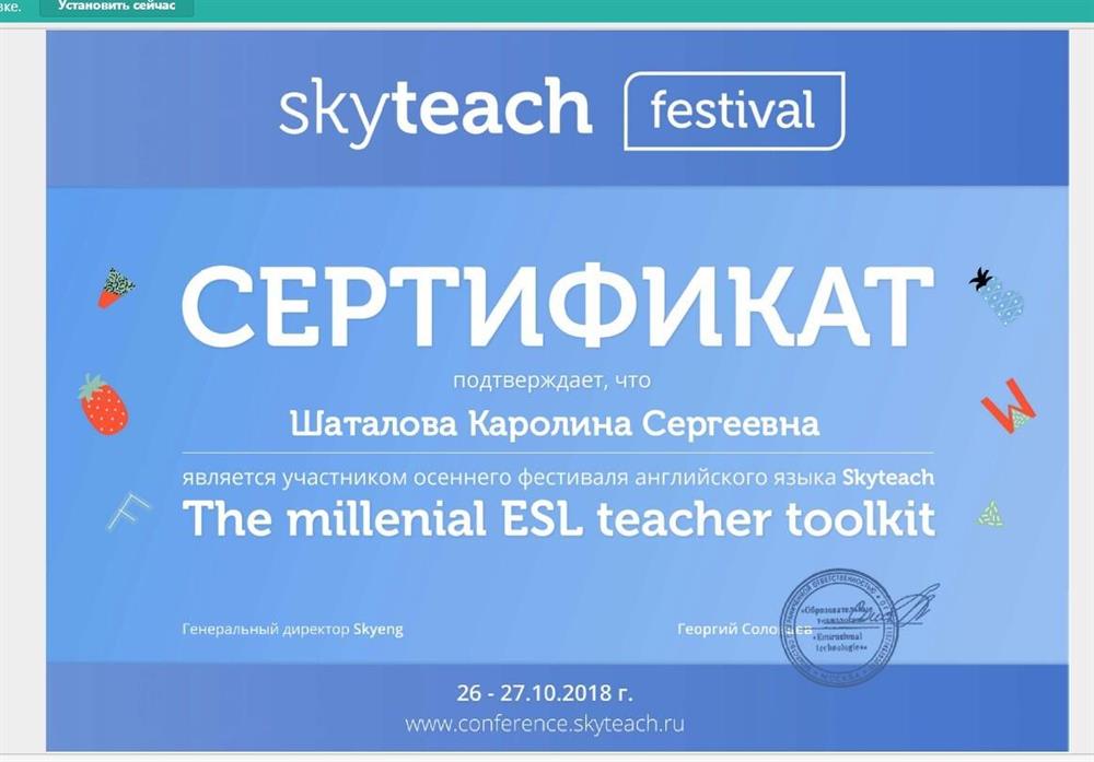 Сертификат участника Skyteach festival