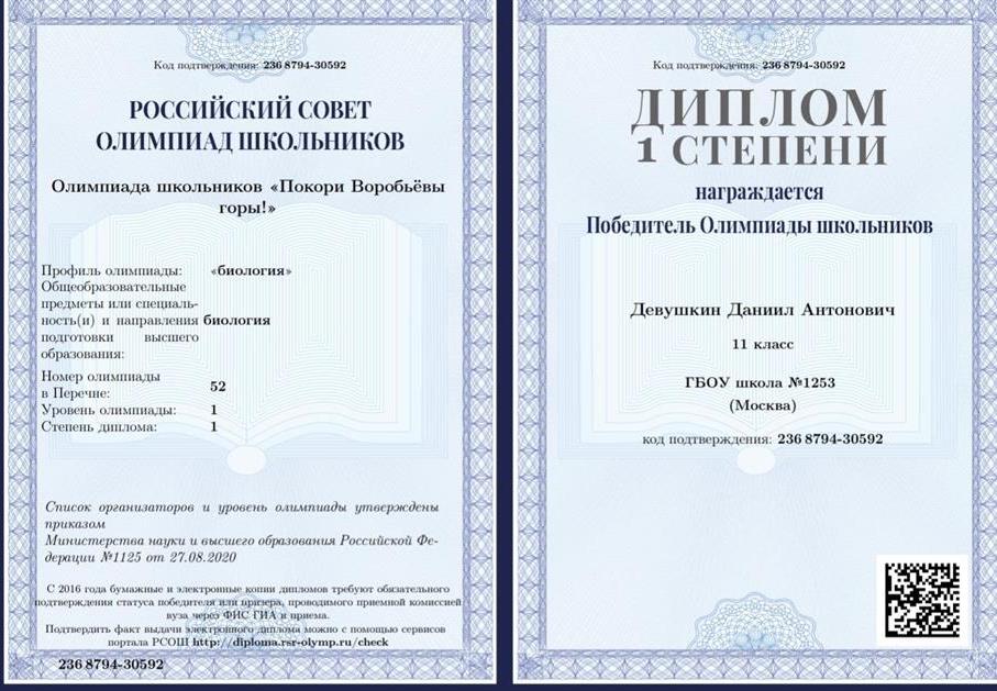 Диплом победителя олимпиады ПВГ