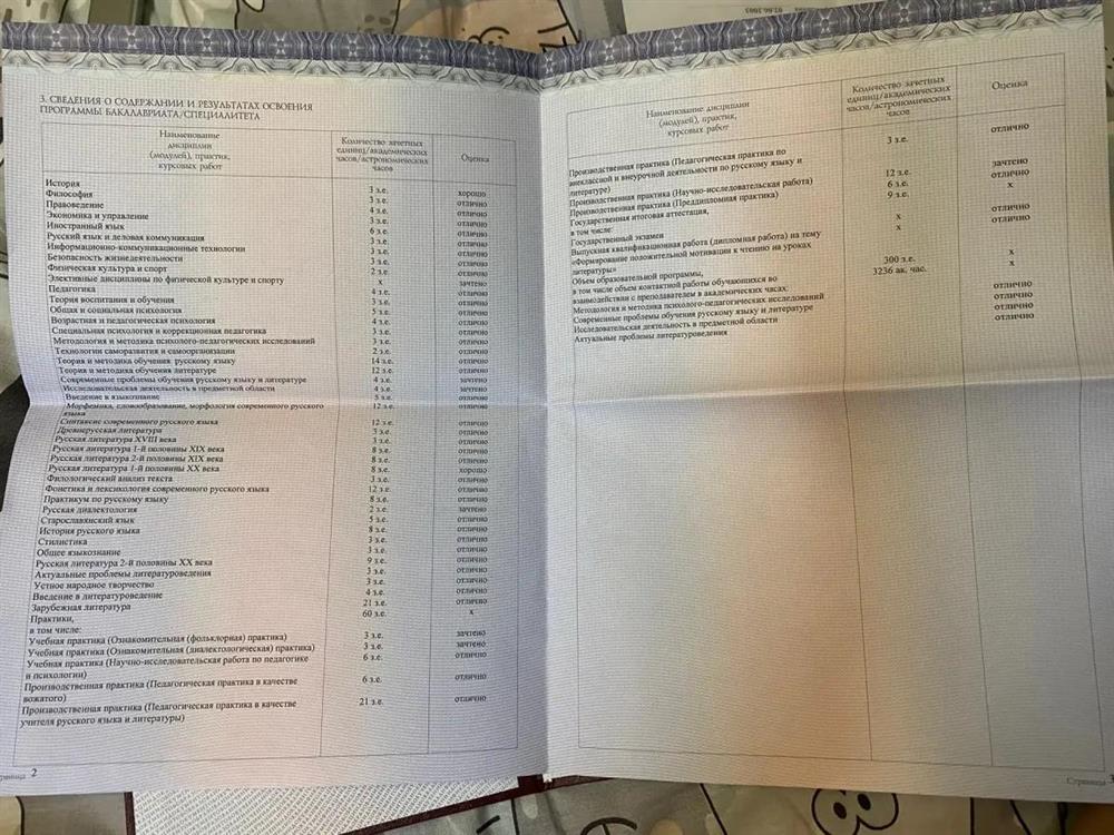 диплом о высшем образовании 