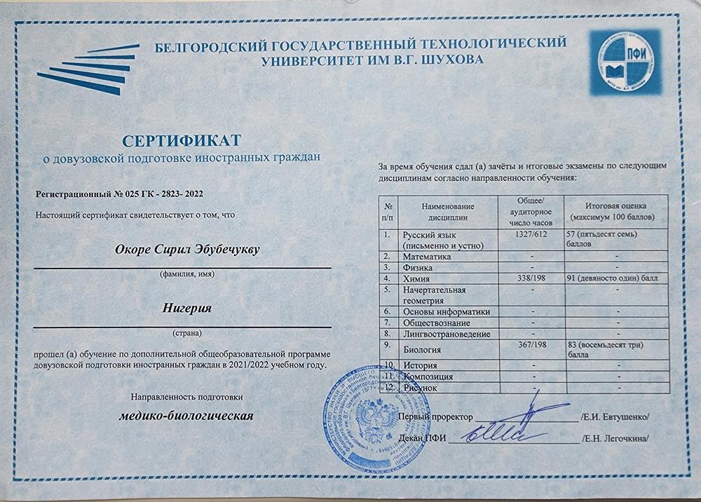 сертификат русского языка 
