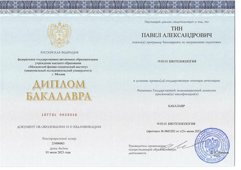 Диплом бакалавра