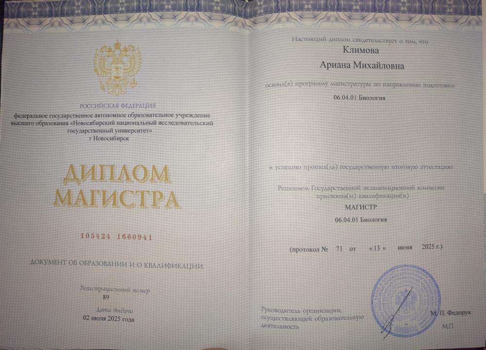 Диплом магистра