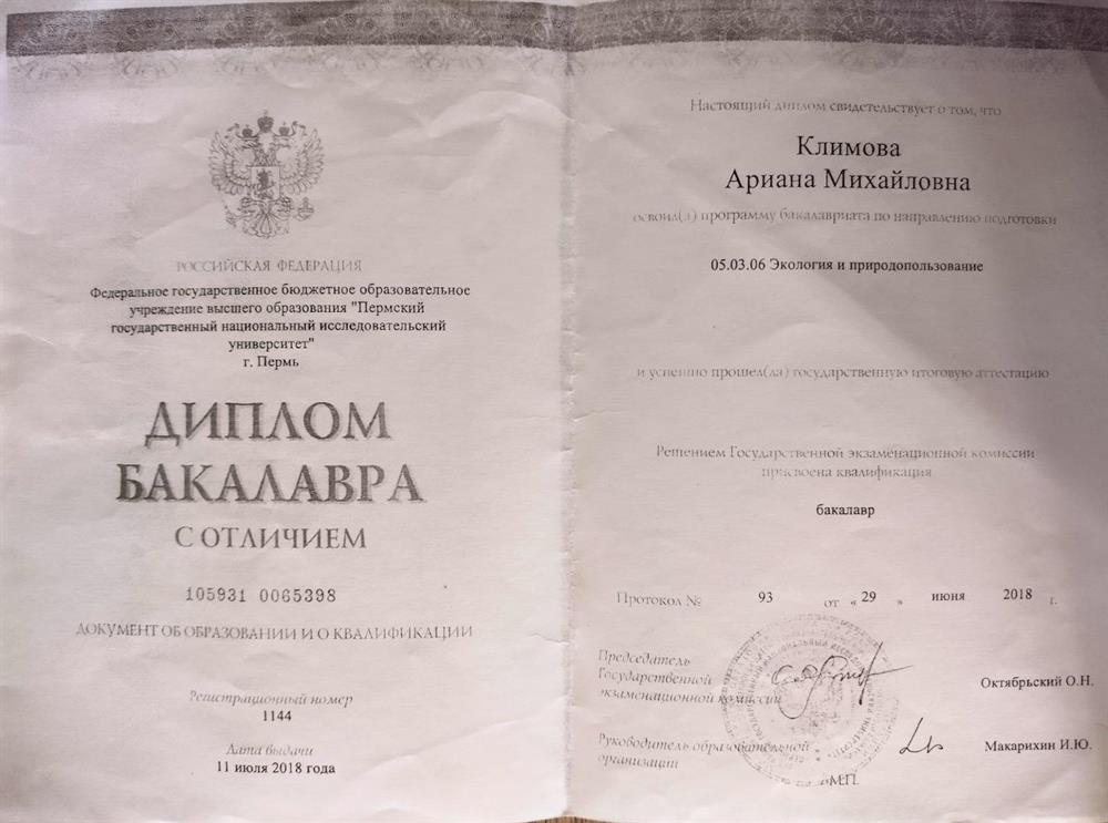 Диплом бакалавра.