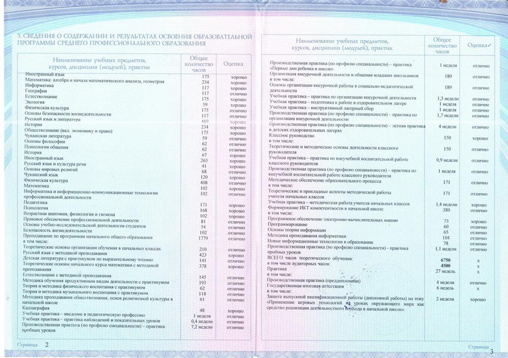 Оценки по предметам 