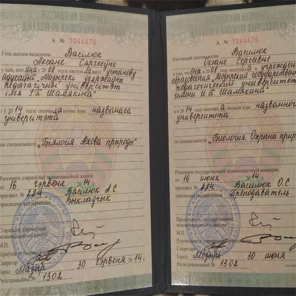 преподаватель в школе и колледже