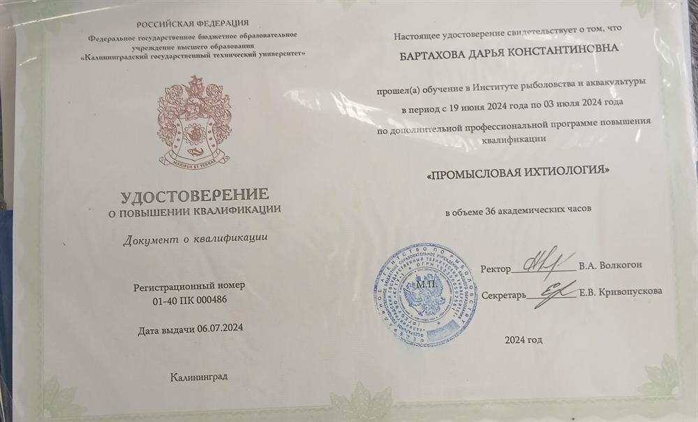 повышение квалификации 